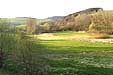 Odenbachtal mit Weg zum Amoshof