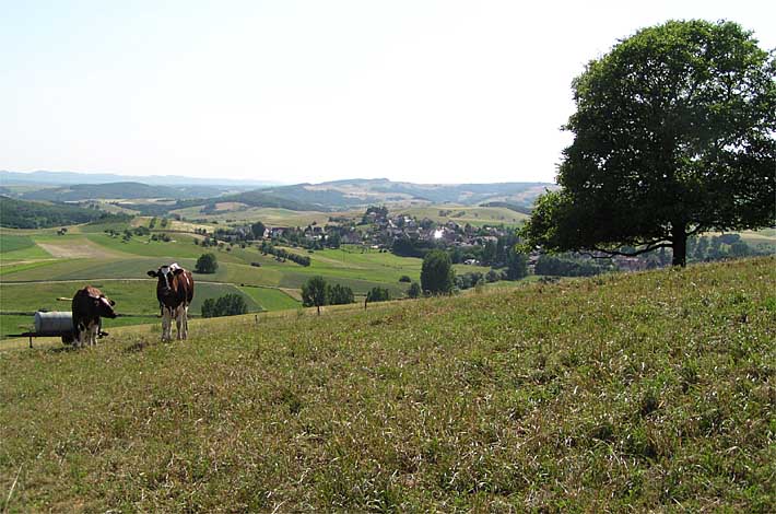 Fernsicht vom Wickelberg aus