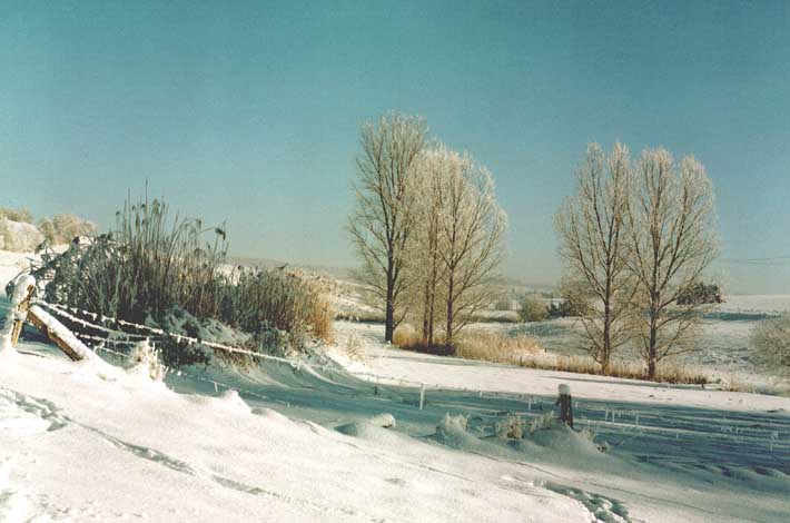 Winteransicht von der Wickelhöferstraße Richtung Schneckenhausen