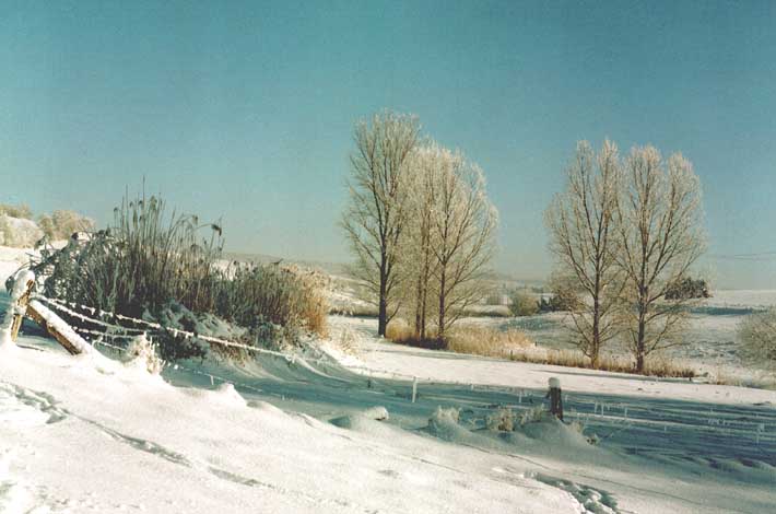 Winteransicht von der Wickelh&ouml;ferstra&szlig;e Richtung Schneckenhausen