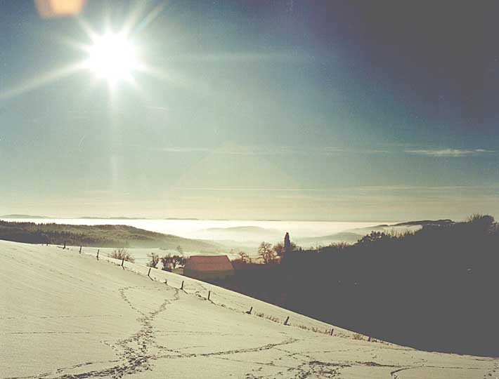Winter am Reiserberg