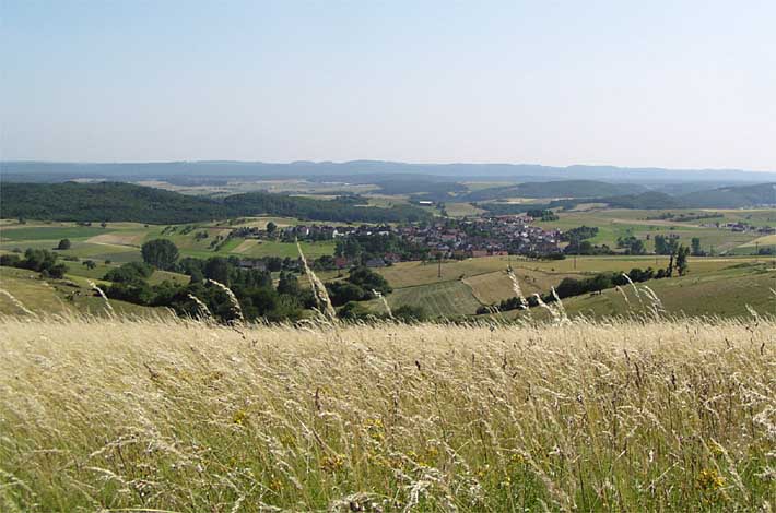 Ausblick über den "Buchgraben"  auf Schallodenbach - im Hintergrund das Landstuhler Bruch und die Sickinger Höhe