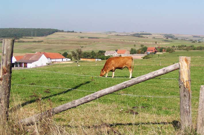 Blick über die Hahnbach vom Oppensteiner Weg aus.